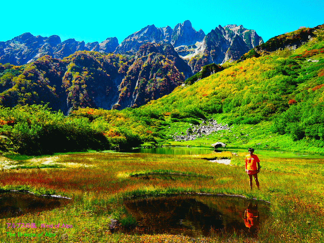 紅葉の裏剱　池ノ平